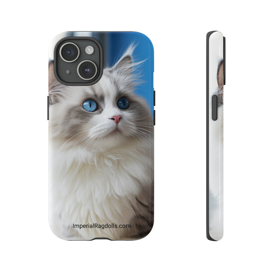 Personalized Ragdoll Cat Tough Phone Cases