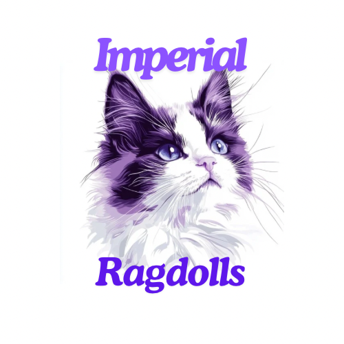 Imperial Ragdolls Cattery